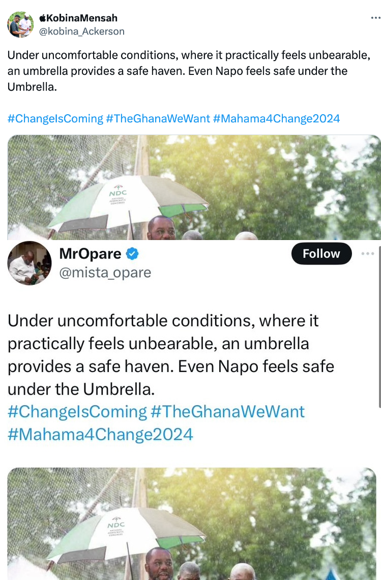 FAKE: Photo of NAPO holding NDC-branded umbrella is doctored