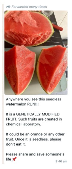 Misleading: Not all seedless fruits are genetically modified as claimed by viral watermelon post