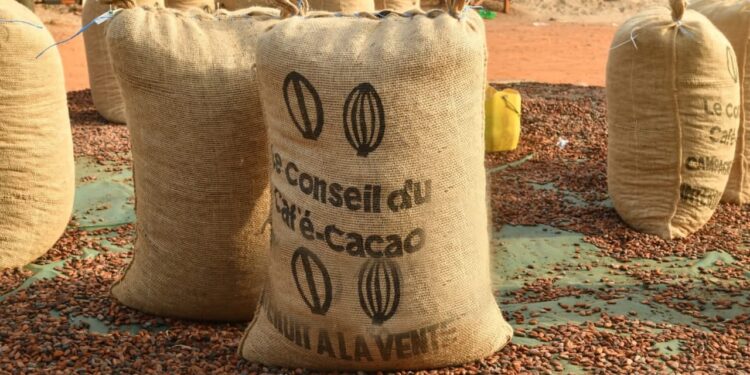 Ivory Coast now paying lower cocoa producer price compared to Ghana
