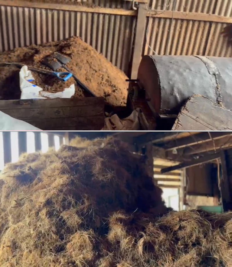 From Waste to Wealth: Rewriting the lifecycle of Ghana’s coconut beyond its water and fruit  