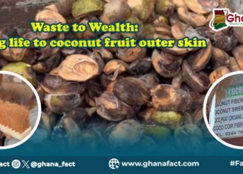 From Waste to Wealth: Rewriting the lifecycle of Ghana’s coconut beyond its water and fruit  
