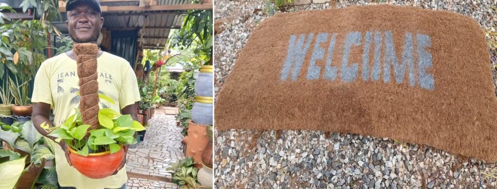 From Waste to Wealth: Rewriting the lifecycle of Ghana’s coconut beyond its water and fruit  