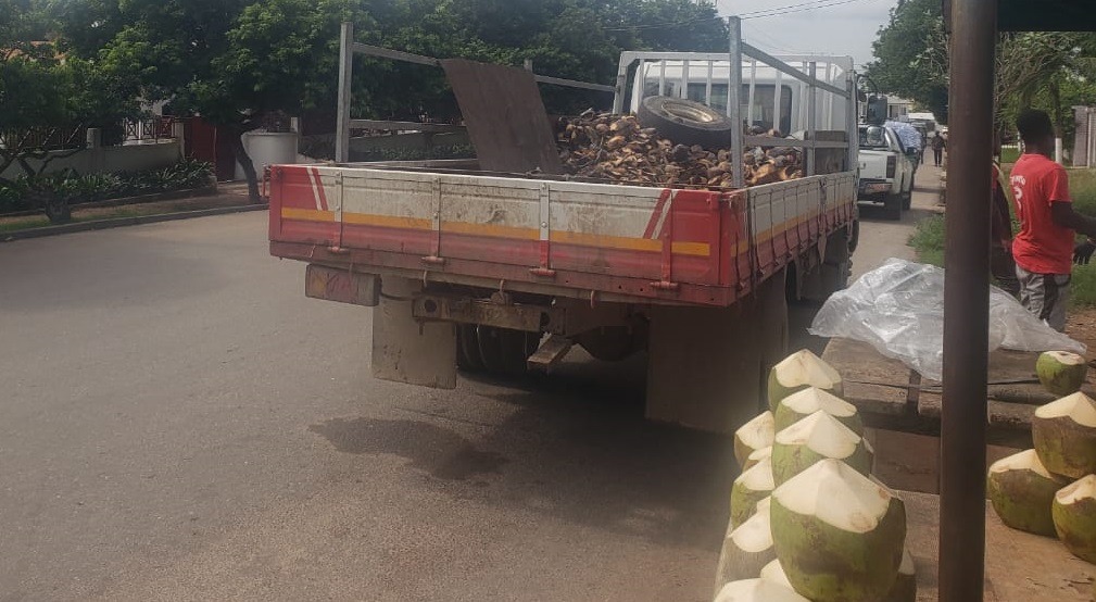 From Waste to Wealth: Rewriting the lifecycle of Ghana’s coconut beyond its water and fruit  