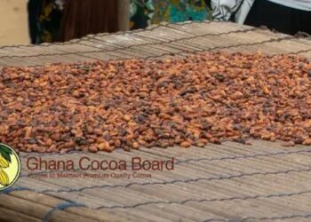 New COCOBOD Bill: Fact-checking 3 claims on powers of inspectors, penalties for obstruction