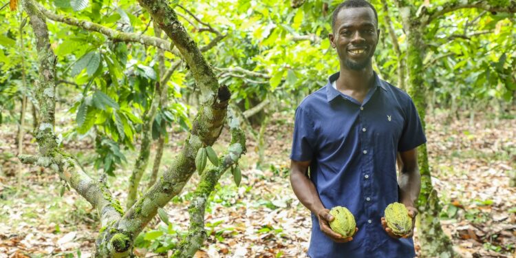 Galamsey threat: Why 2026 COCOBOD law grants 'protected' status to all cocoa farms Galamsey threat: Why 2026 COCOBOD law grants 'protected' status to all cocoa farms